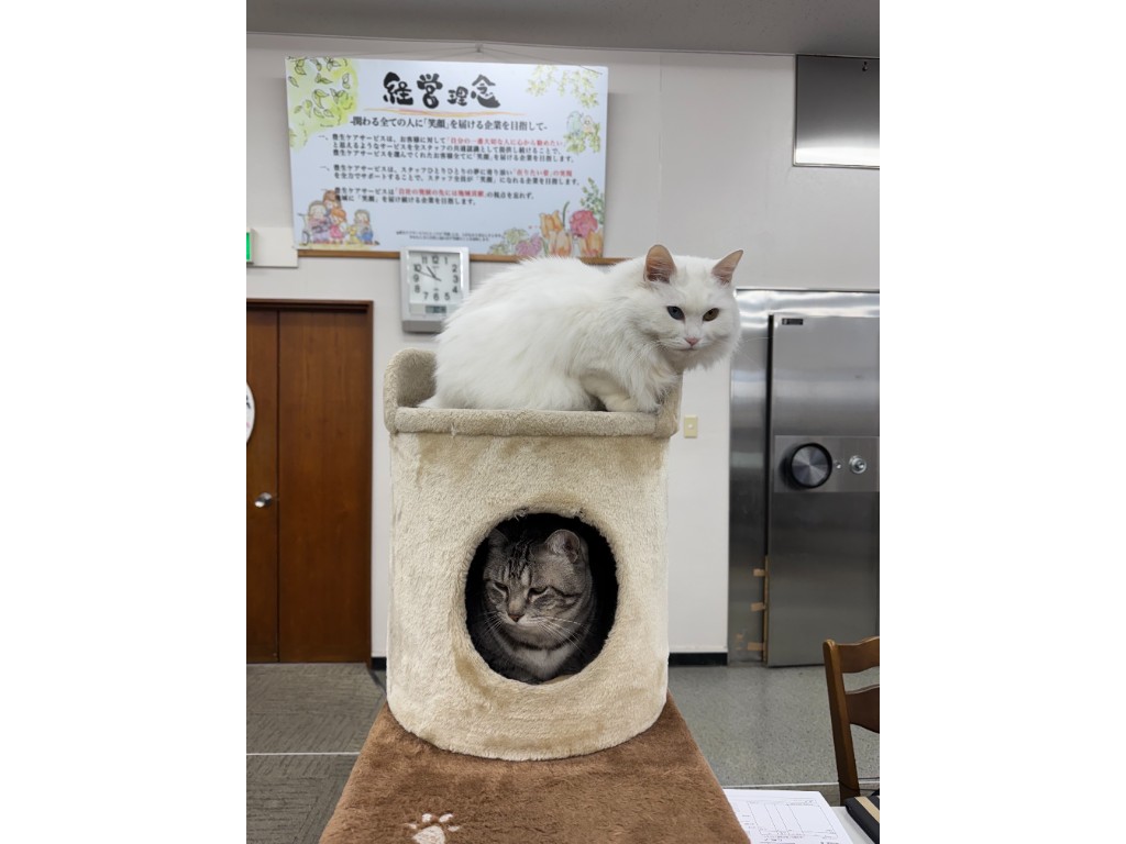 サービス提供責任者の求人写真-5